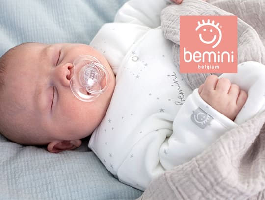 Bemini artikel 2 logo_3